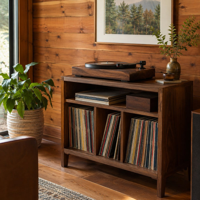 Record stands & consoles